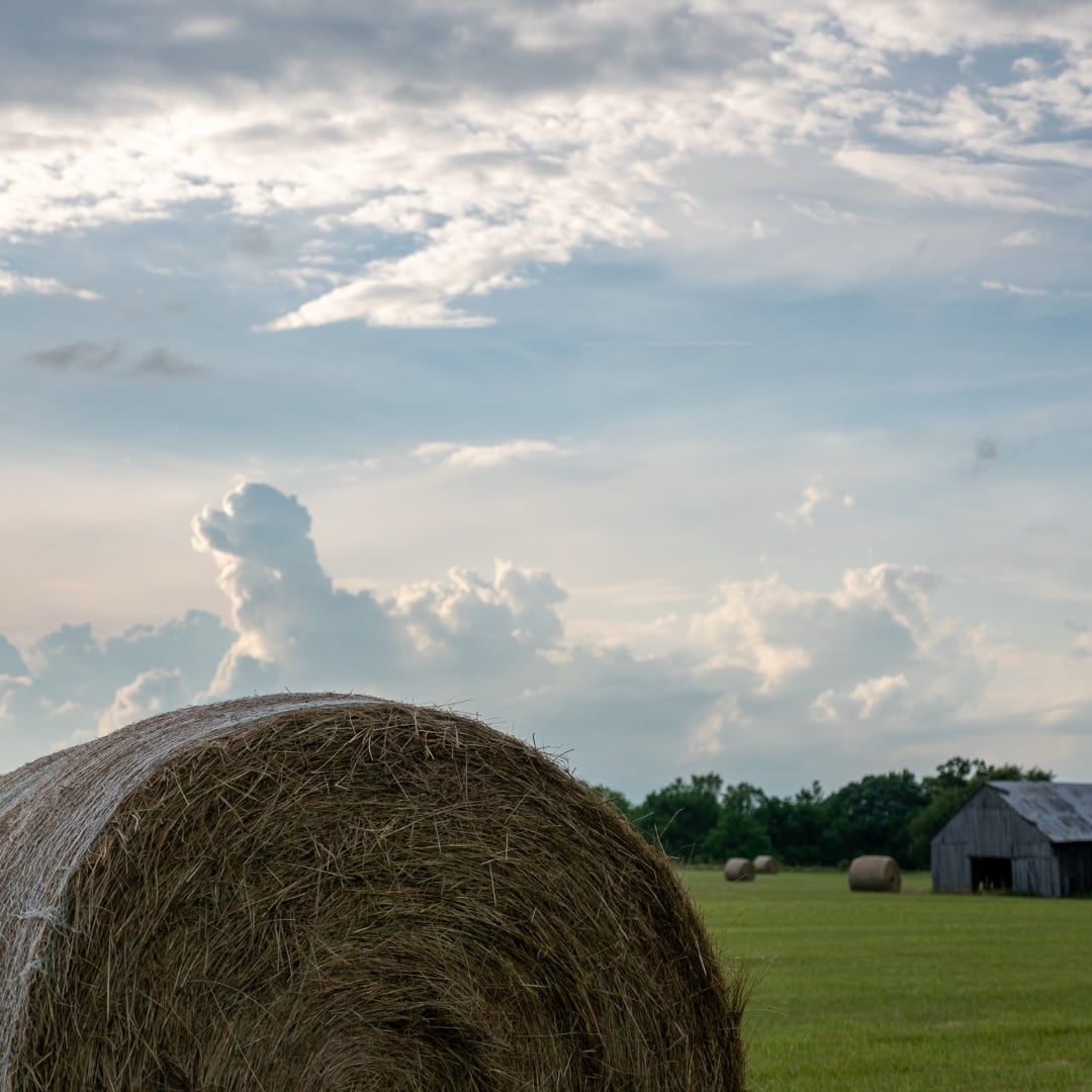 Round bale in a field at dusk