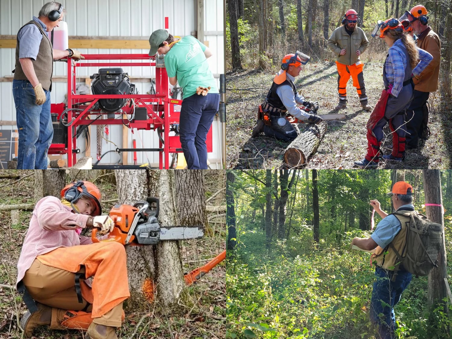 Collage of images that represent the various programs offered by FFI
