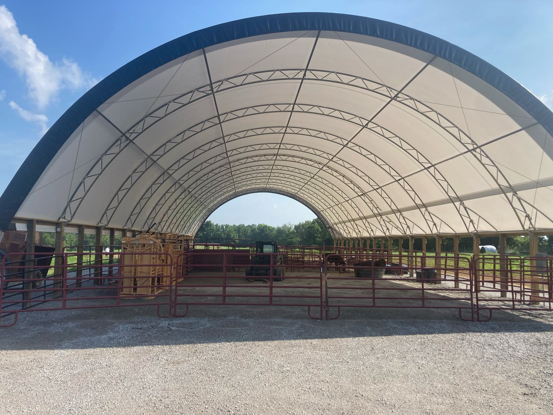 Cattle under the canopy of a Hoop Barn